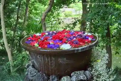 武蔵一宮氷川神社(埼玉県)