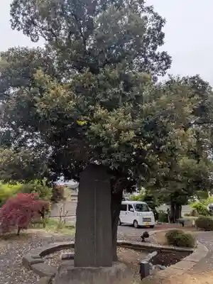 正光寺(東京都)