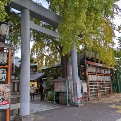 波除神社（波除稲荷神社）の鳥居