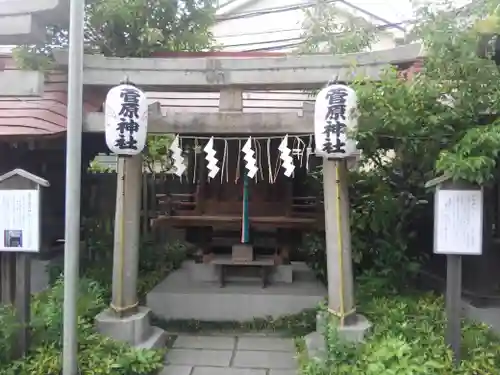 素盞雄神社の鳥居