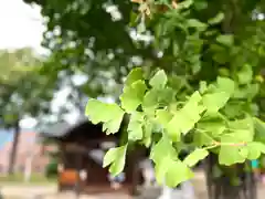 八幡神社(長野県)