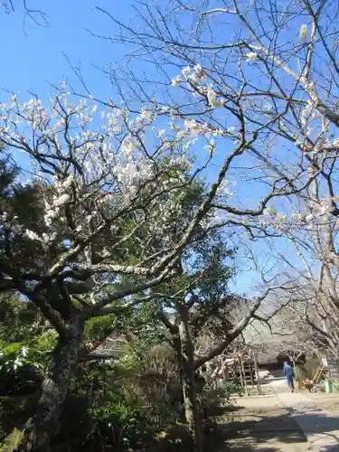 極楽寺（霊鷲山感應院極楽律寺）の景色