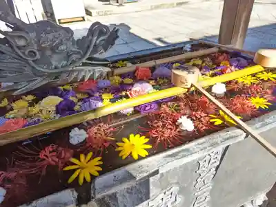 柳谷観音　楊谷寺(京都府)