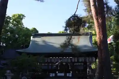 今宮神社(京都府)