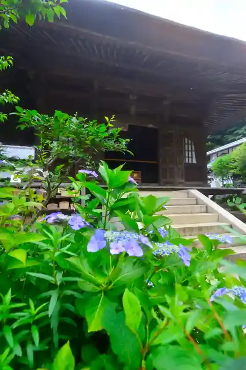 円覚寺(神奈川県)