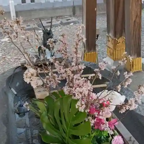 彌彦神社　(伊夜日子神社)の手水舎