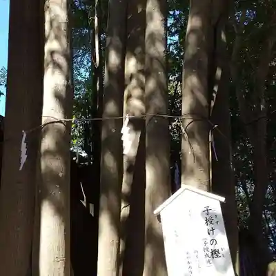 検見川神社のその他建物