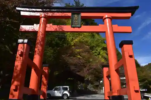 金櫻神社の鳥居