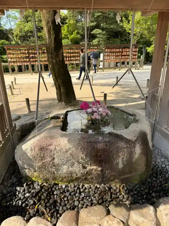 宝満宮竈門神社の{uncategorized: "未分類", other: "その他", undefined: "問題あり", building: "その他建物", grave: "お墓", sacred_gate: "鳥居", guardian: "狛犬", statue: "像", buddha: "仏像", history: "歴史", nature: "自然", garden: "庭園", animal: "動物", pagoda: "塔", temizu: "手水舎", mountain_gate: "山門・神門", sanctuary: "本殿・本堂", subordinate: "末社・摂社", art: "芸術", scenery: "景色", jizo: "地蔵", ema: "絵馬", goshuin: "御朱印", omikuji: "おみくじ", items: "授与品その他", amulet: "お守り", goshuincho: "御朱印帳", eats: "食事", festival: "お祭り", votive_dance: "神楽", shichigosan: "七五三参", wedding: "結婚式", experience: "体験その他", initially: "初詣", around: "周辺", anti_infection: "感染症対策"}