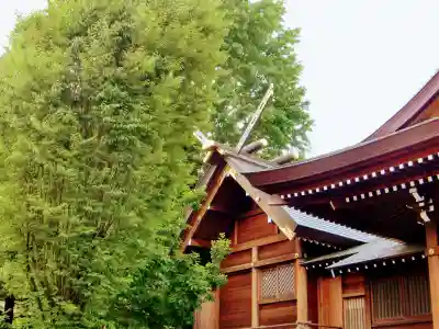朝日氷川神社の本殿・本堂
