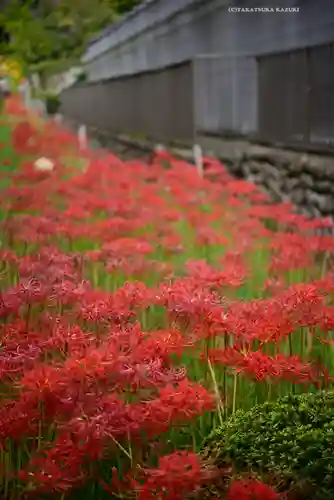横浜　西方寺(神奈川県)