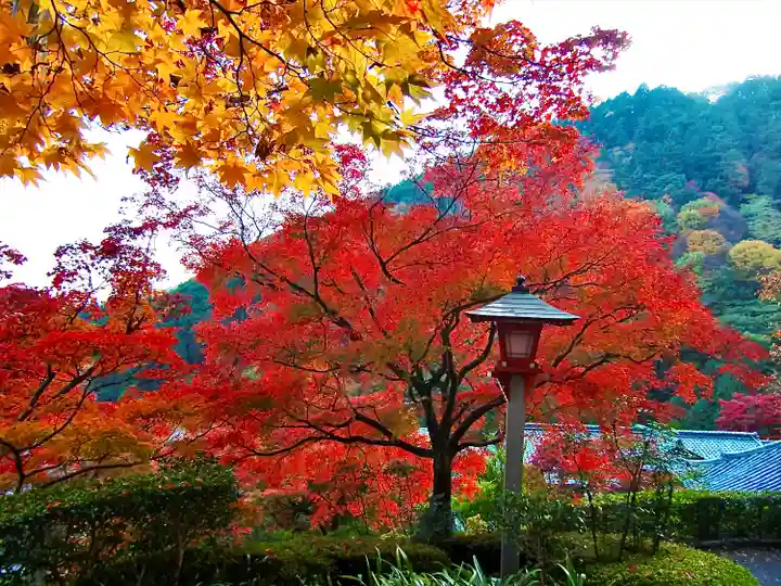 善峯寺(京都府)