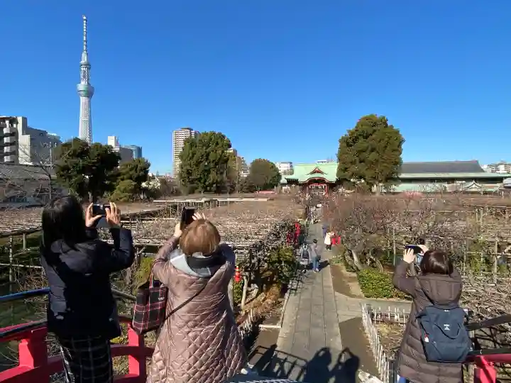 亀戸天神社のその他建物