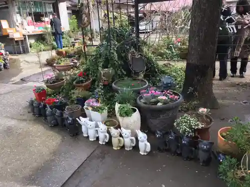 今戸神社の狛犬