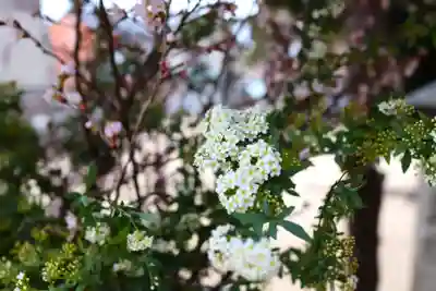 三津厳島神社(愛媛県)