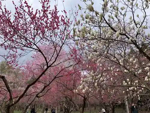 北海道神宮の自然