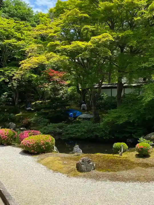 御寺 泉涌寺(京都府)