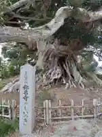 称名寺(宮城県)