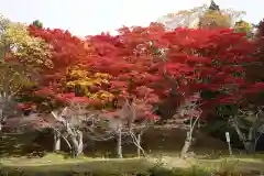 土津神社｜こどもと出世の神さまの自然