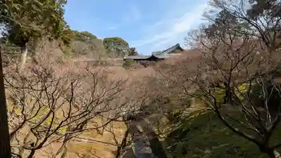 勝林寺(京都府)