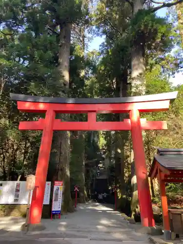 箱根神社の鳥居