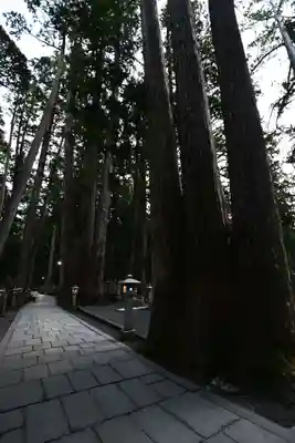 高野山金剛峯寺奥の院(和歌山県)