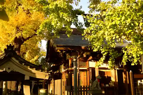 飛木稲荷神社の本殿・本堂