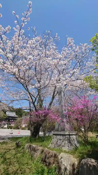 善住禅寺(愛知県)