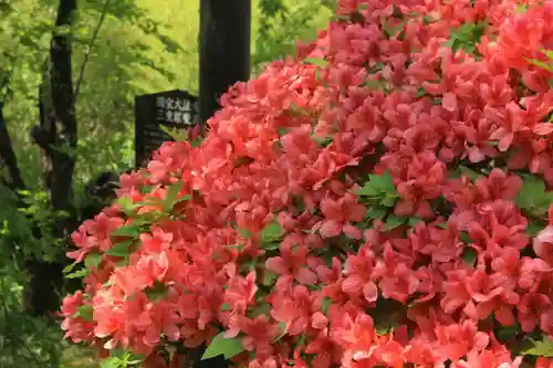 国宝 大法寺の庭園