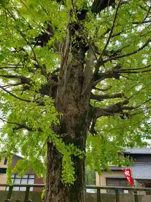 総願寺のその他建物