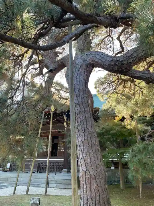 東漸寺(千葉県)