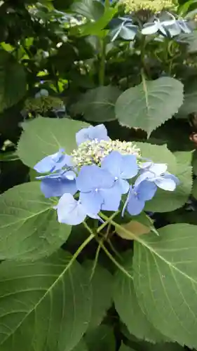 菊田神社の自然