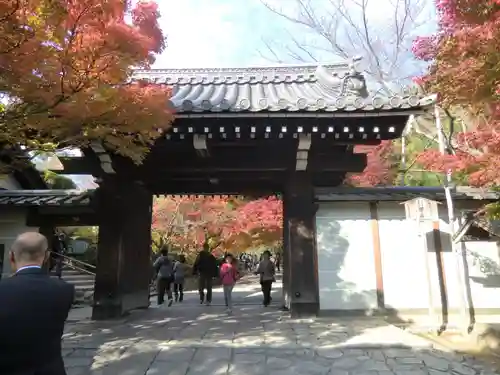 龍安寺(京都府)