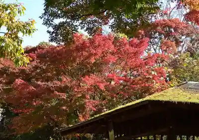 高尾山薬王院(東京都)