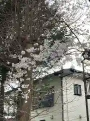 尉殿神社の自然