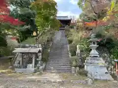 千手寺(京都府)