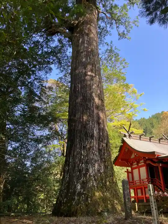 十根川神社(宮崎県)