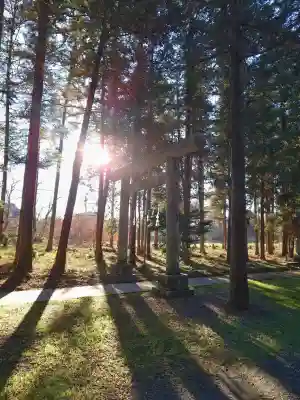 鎌形八幡神社の{uncategorized: "未分類", other: "その他", undefined: "問題あり", building: "その他建物", grave: "お墓", sacred_gate: "鳥居", guardian: "狛犬", statue: "像", buddha: "仏像", history: "歴史", nature: "自然", garden: "庭園", animal: "動物", pagoda: "塔", temizu: "手水舎", mountain_gate: "山門・神門", sanctuary: "本殿・本堂", subordinate: "末社・摂社", art: "芸術", scenery: "景色", jizo: "地蔵", ema: "絵馬", goshuin: "御朱印", omikuji: "おみくじ", items: "授与品その他", amulet: "お守り", goshuincho: "御朱印帳", eats: "食事", festival: "お祭り", votive_dance: "神楽", shichigosan: "七五三参", wedding: "結婚式", experience: "体験その他", initially: "初詣", around: "周辺", anti_infection: "感染症対策"}