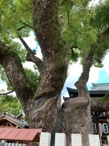 石切劔箭神社の自然