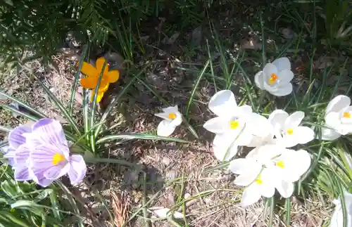 三吉神社の周辺