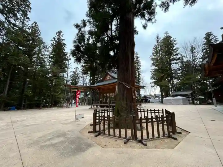 穂高神社本宮(長野県)