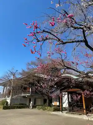 伝通院(東京都)