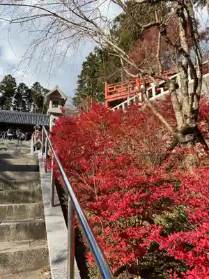 呑山観音寺の自然