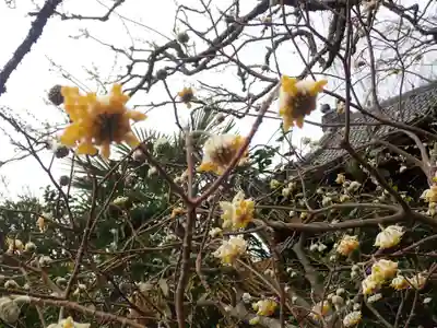 荏柄天神社(神奈川県)