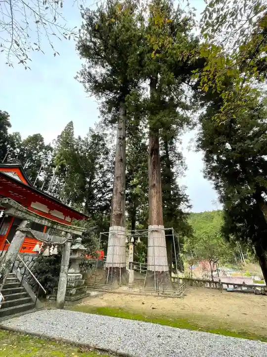 仲山神社(美杉町八知)の自然
