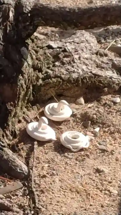 和田神社(兵庫県)