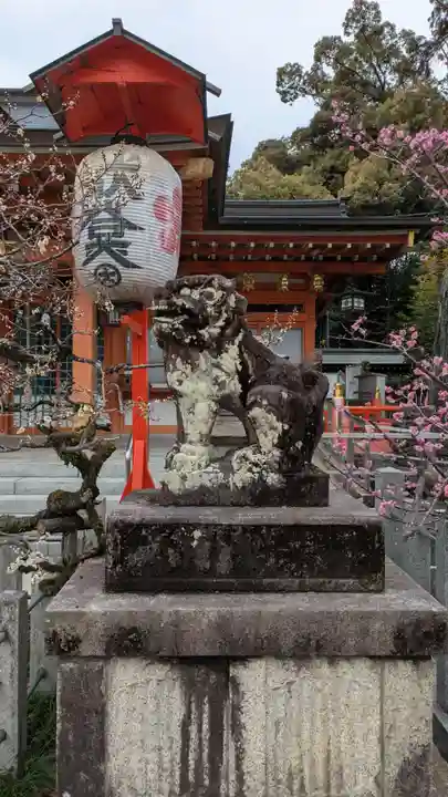長岡天満宮の狛犬