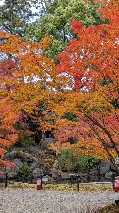 長岡天満宮(京都府)