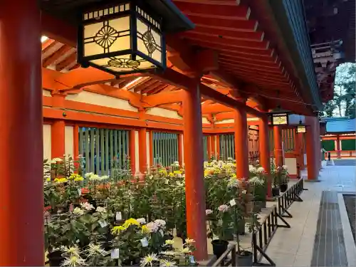 武蔵一宮氷川神社(埼玉県)