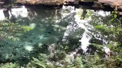 泉神社(茨城県)